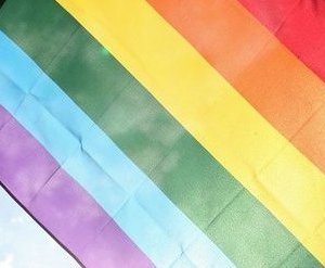 Департамент позволит жить в Литве иностранцам, заключившим браки с геями-литовцами
