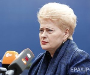Президент Литвы: необходимо добиваться закрытия Белорусской АЭС