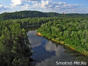 КС Литвы: принятая в срочном порядке реорганизация лесничеств противоречит Конституции