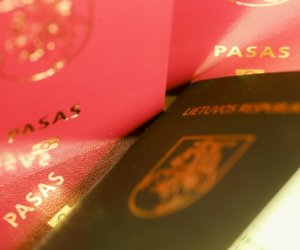 В Литве началась пиар-кампания референдума о двойном гражданстве
