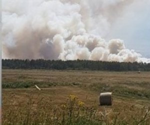 В Шилутском районе горит 12 гектаров торфяника