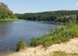 Жители Литвы приглашаются присоединиться к международной инициативе по очистке рек