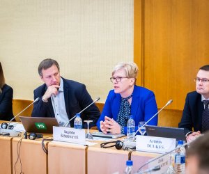 Ежегодно в Литве не дособирается миллиард евро НДС – Госконтроль