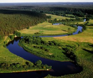 Представитель НПО: охрана природы в Литве пока призвана лишь создавать впечатление в ЕС