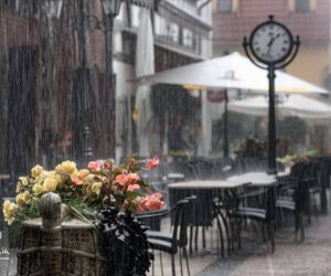Метеорологи: январь этого года в Литве – самый теплый в истории