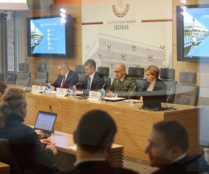Разведка: бесплатные визы в РФ повышают риск безопасности Литвы