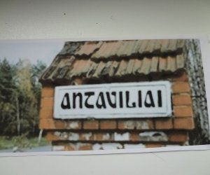 В Литве коронавирус выявлен в 14-и учреждениях опеки