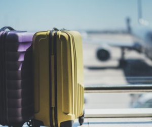 Похоже, что при первой же оказии эмигранты уедут снова