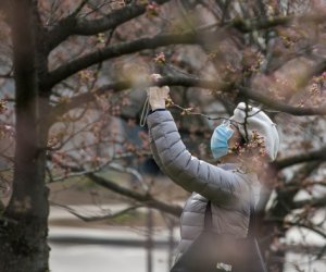 Послабления в карантине все-таки будут, изменения начинаются с четверга