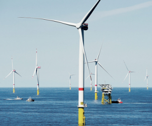 Правительство создало условия для развития морской ветровой энергетики (обновлено)