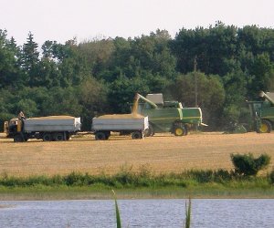 В Литве проходит всеобщая сельскохозяйственная перепись