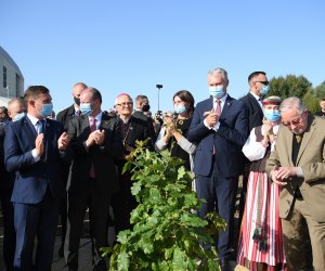 Тесты премьера и президента на коронавирус – отрицательные, подтвердили их пресс-секретари