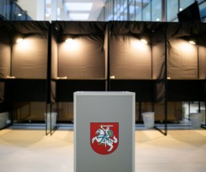 В Литве проходит второй тур парламентских выборов