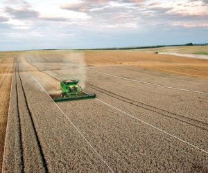 Евростат: рост производства сельхозпродукции в Литве – один из крупнейших в ЕС