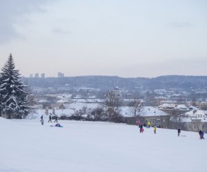 Глава МВД: будет предложено открыть в Литве трассы для катания на лыжах