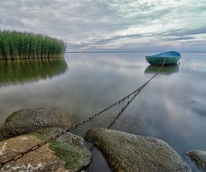 «Чёрный берег» и ощущение силы