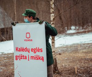 В Вяркяй началась посадка Рождественского леса, это первый такого рода лес в мире