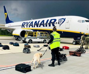 Самолет Ryanair, летевший в Вильнюс, был принудительно посажен в Минске 