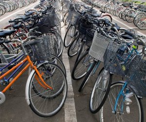 Европейские страны намерены пересадить своих граждан на велосипеды