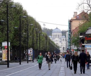 Каунасская мэрия не согласилась на шествие ЛГБТ в центре города, организаторы обжалуют (дополнено)