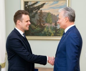 Политологи - о расхождении позиций МИД и президента Литвы 