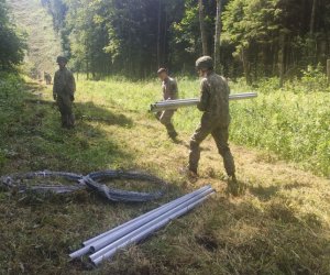 Армия начала возводить на границе Литвы с Беларусью проволочное заграждение