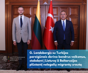 Глава МИД Литвы призывает сократить рейсы в Беларусь, проверять поток мигрантов