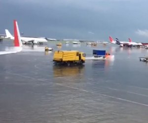 Самолеты в воде: в аэропорту Шереметьево затопило взлетно-посадочные полосы