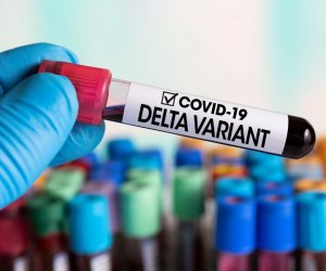 В Литве выявлен еще 31 случай дельта-штамма коронавируса, всего 84 случая