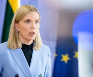 Глава МВД Литвы предлагает Кабмину ввести чрезвычайное положение на границе (дополнено)