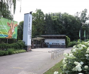 Долгожданная реконструкция Каунасского зоопарка начинается...