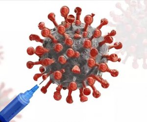 Ученые нашли антитело, защищающее от всех штаммов коронавируса
