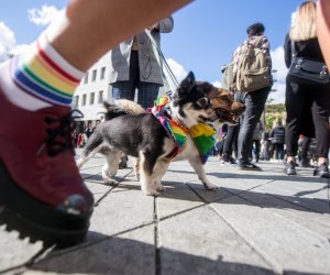 Важнейшие события минувших выходных в Литве