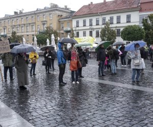 На акцию протеста в Вильнюсе собрались около полусотни человек