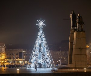 Кафедральную площадь столицы Литвы украсила Рождественская елка