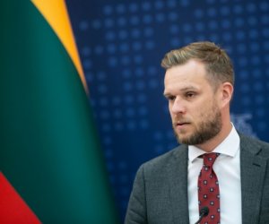 Глава МИД Литвы подал премьеру заявление об отставке (дополнено)