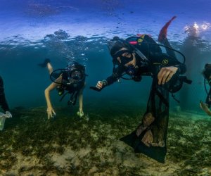 Подводные фотографы запечатлели, насколько загрязнен океан