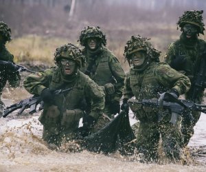 В Литве растет доверие к армии, профессии военного, НАТО
