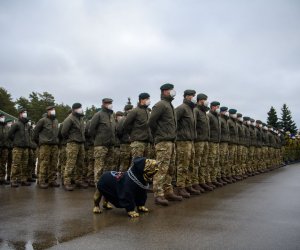 Президент Литвы: единство НАТО не позволит России подорвать нынешний миропорядок (дополнено)