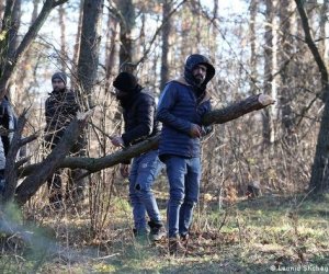 На границе Литвы с Беларусью развернули 58 мигрантов – большее число за этот год