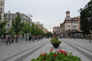 COVID-19 в Литве за сутки: 16 новых случаев заболевания, ни одной смерти от коронавируса