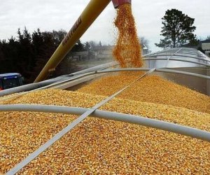 Балтийские страны призывают ООН обеспечить безопасную доставку украинского зерна
