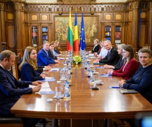 Президент Литвы в Румынии: региональное сотрудничество по вопросам безопасности - наша сила