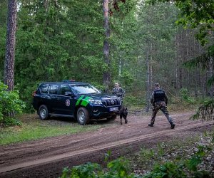 МВД Литвы: сформировался новый путь нелегальных мигрантов - через Москву 