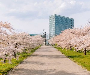 Обновления! COVID-19 В ЛИТВЕ ЗА СУТКИ: 280 НОВЫХ СЛУЧАЕВ ЗАБОЛЕВАНИЯ, НИ ОДНОЙ СМЕРТИ ОТ КОРОНАВИРУСА