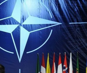 ПА НАТО обсудит в Вильнюсе положение в Украине и повестку мадридского саммита