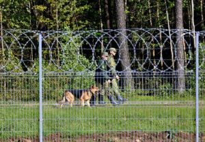 СОГГ Литвы: на границе с Беларусью развернули 10 нелегальных мигрантов 