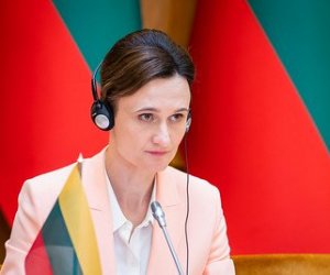 В. Чмилите-Нильсен не видит ответственности Литвы за калининградский транзит