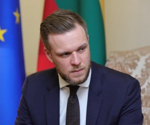 Г. Ландсбергис: я очень хочу, чтобы мы не давали дополнительных козырей врагам Литвы