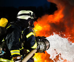 Общественность Литвы больше всего доверяет пожарным и армии